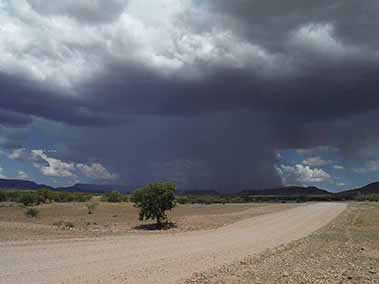 Rainfall in the Desert
